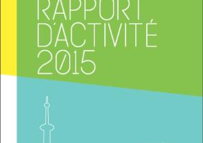 rapport_activites_2015.jpg